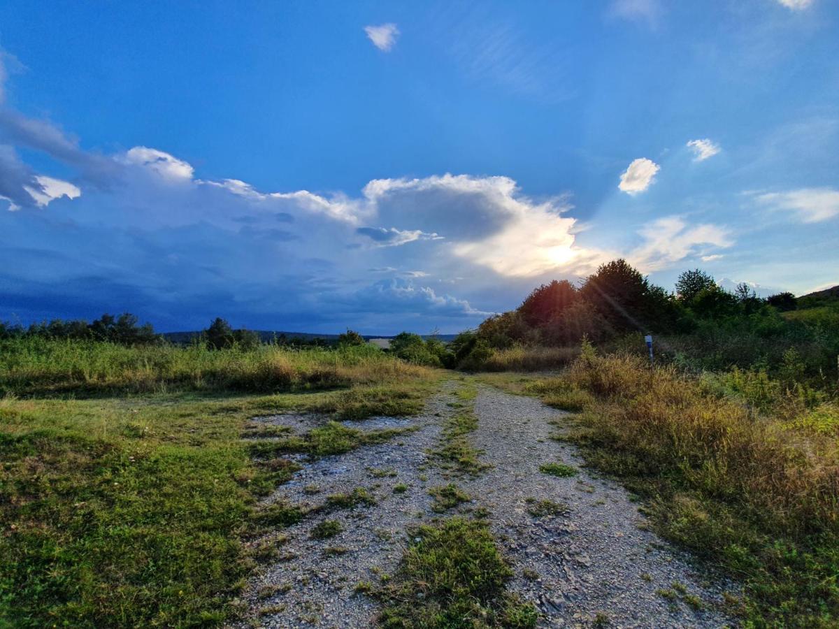 Ferienwohnung Am Sonnigen Haimberg Φούλντα Εξωτερικό φωτογραφία